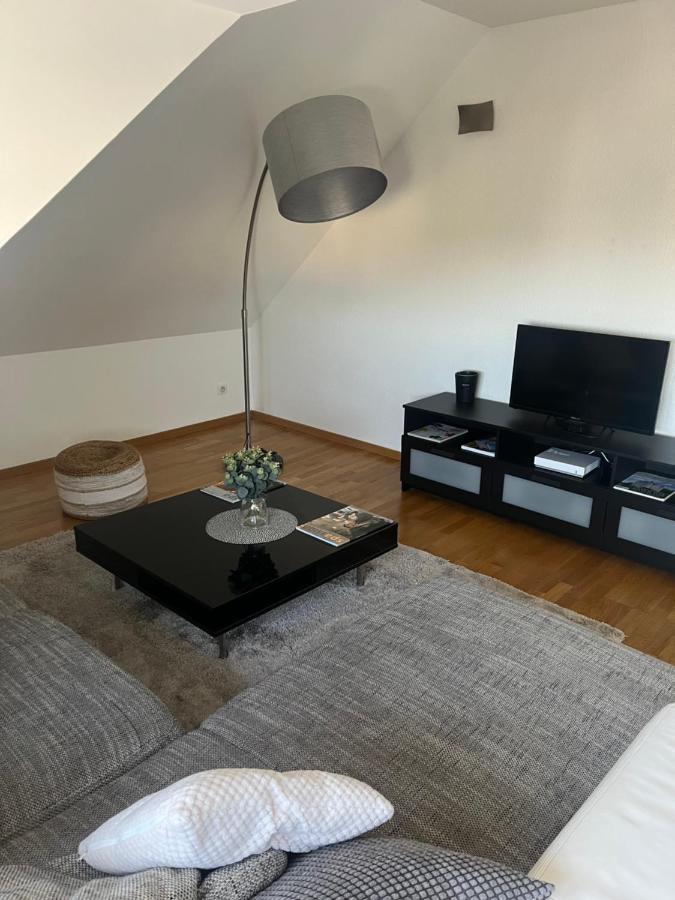 Bel Appartement Centre Climatise Parking Prive Colmar Exterior photo
