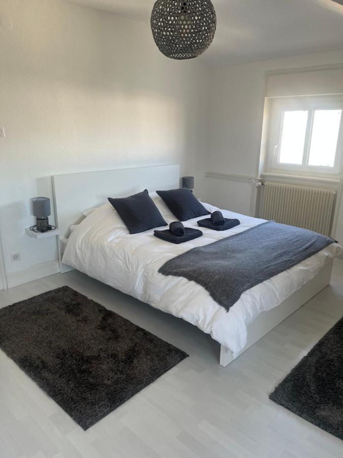 Bel Appartement Centre Climatise Parking Prive Colmar Exterior photo
