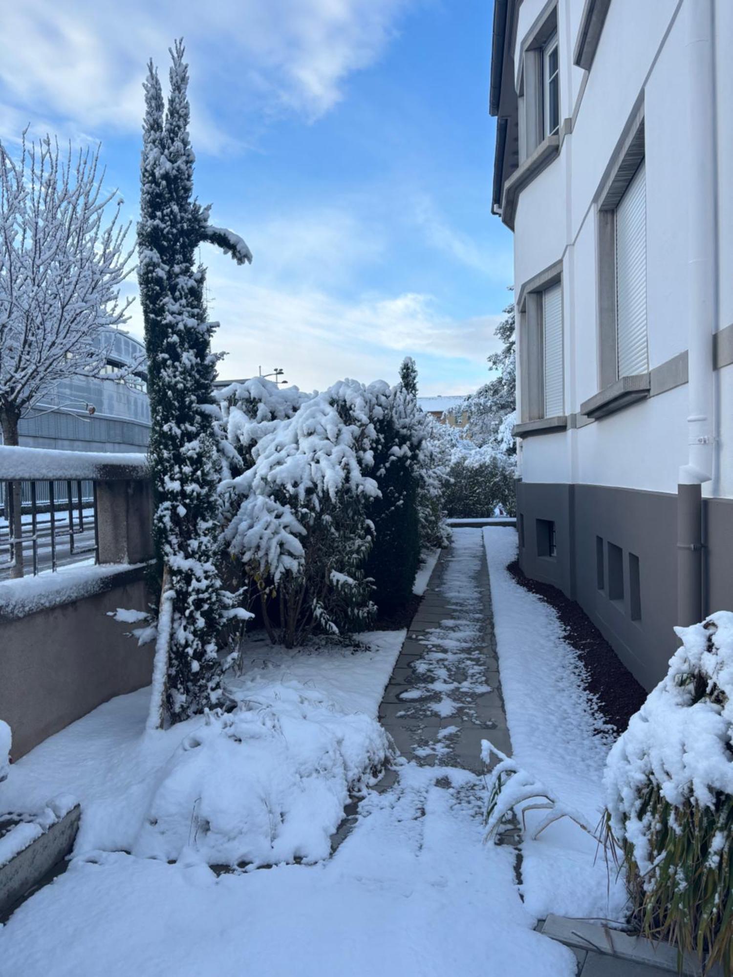 Bel Appartement Centre Climatise Parking Prive Colmar Exterior photo